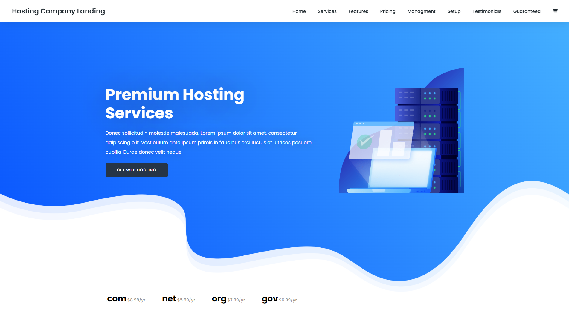Hosting Company Landing Page